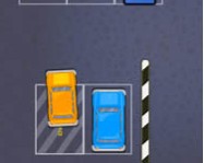 Expert parking online